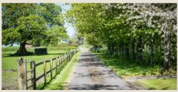 Co Meath 100-acre farm