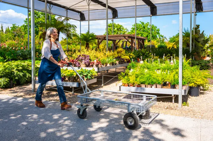 Grow with us: Dairygold Co-Op Superstores seeks Garden Centre Manager at Raheen, Limerick