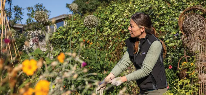 Deadline approaches for Craft Gardener Opportunities with the OPW