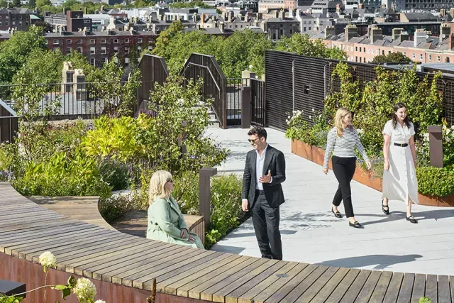 Maylim: Transforming Urban Spaces & Crafting Landscapes - Now Hiring in Dublin